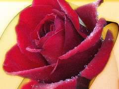 ԭʼͼƬ126.62KB,